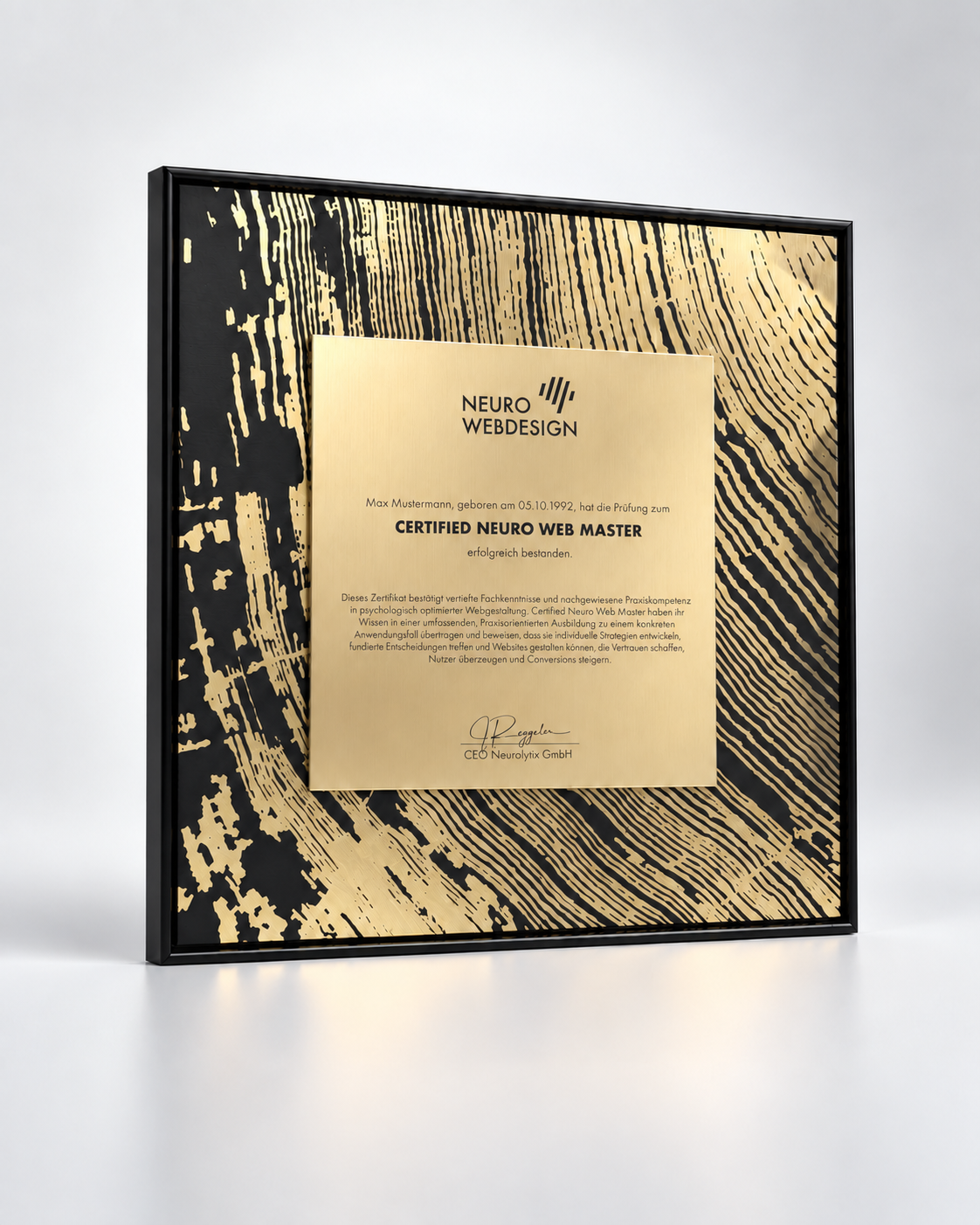 Certified Neuro Web Master – Urkunde